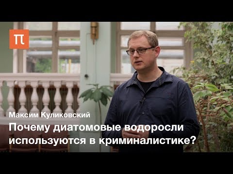 Видео: Диатомовые водоросли — Максим Куликовский