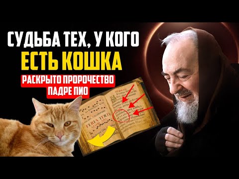 Видео: ПАДРЕ ПИО АЛЕРТ: Судьба тех, кто живет с кошками дома. Секреты Притяжения которые кошки знают лучше