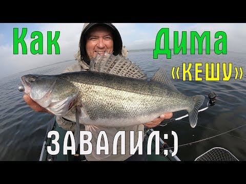 Видео: Всё о ловле СУДАКА. Как поймать и где искать судака. Ловля судака с лодки. Приманка на судака