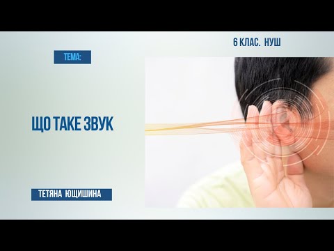 Видео: Урок 17. 18. Що таке звук. 6 клас. НУШ.
