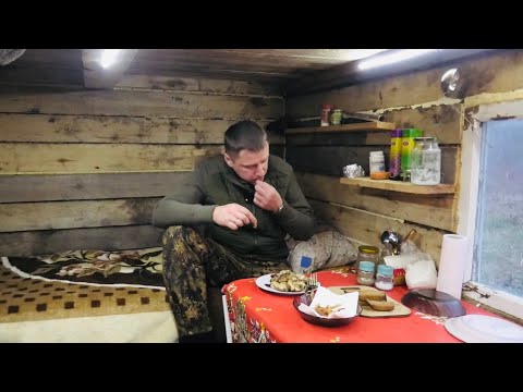 Видео: Моя Жизнь в Тайге. По три штуки сидят у Проруби. На обед Щука.