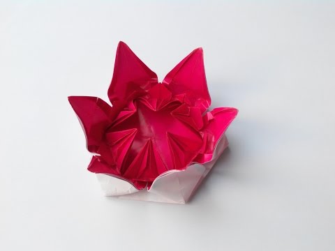 Видео: Цветок 11 (Алексей Жигулёв), Flower 11