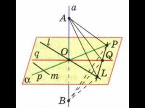 Видео: Түзу мен жазықтықтың перпендикулярлығы
