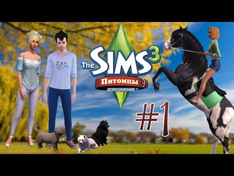 Видео: Давай играть в The Sims 3:Питомцы #1 (Уютная деревушка)