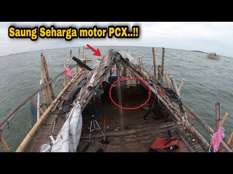 Видео: Три месяца очередей на рыбалку, результаты выше всяких похвал