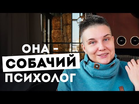 Видео: Может ли БУЛЬТЕРЬЕР ЗАГРЫЗТЬ РЕБЕНКА? ФАКТЫ О СОБАКАХ и как поправить им психику: дрессировка щенка!