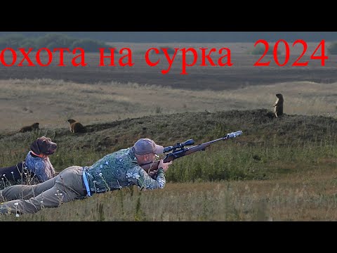 Видео: самая быстрая охота на сурка 2024  два из двух за 5 минут