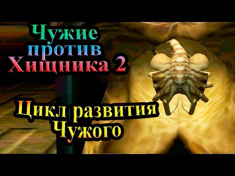 Видео: Прохождение Aliens versus Predator 2 (Чужие против Хищника 2) - часть 15 - Цикл развития Чужого