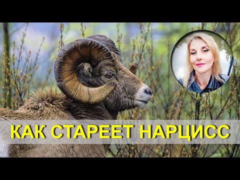 Видео: Один из ГЛАВНЫХ СТРАХОВ нарцисса.