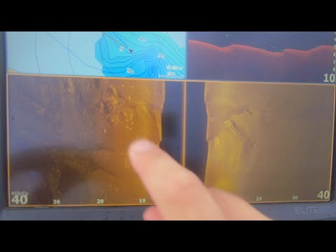 Видео: Ловля щуки с эхолотом на реке