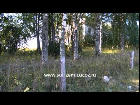 Видео: Редикор