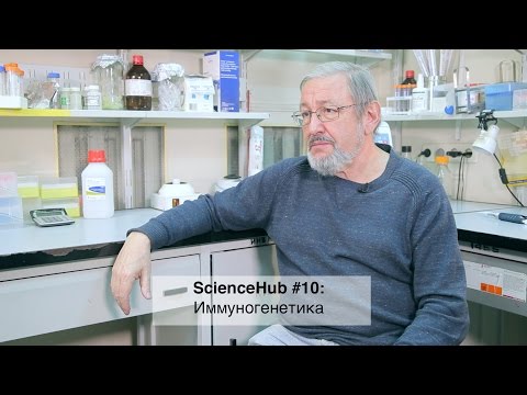 Видео: ScienceHub #10: Иммуногенетика