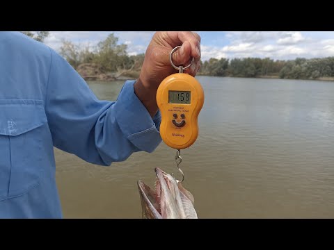 Видео: 35. Рыбалка на Иртыше