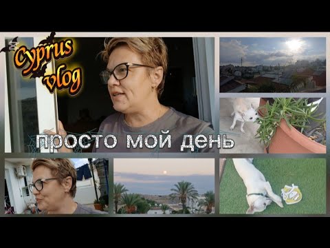 Видео: жизнь на Кипре/ просто мой день #cyprus 