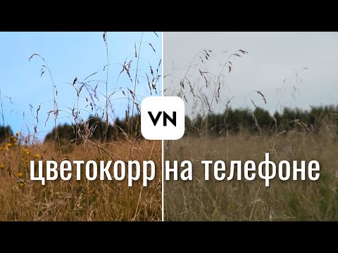 Видео: Киношная ЦВЕТОКОРРЕКЦИЯ видео на телефоне. Как улучшить твое ВИДЕО за несколько кликов.