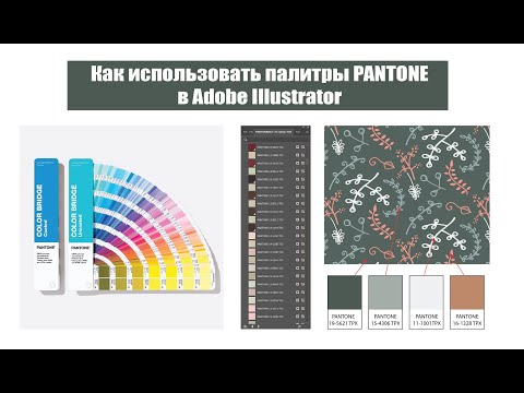 Видео: Как работать с PANTONE в Adobe Illustrator, если у вас не калиброванный монитор и нужно задать цвет