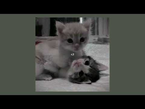 Видео: дора - младшая сестра (speed up)