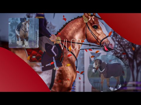 Видео: НОВЫЙ КСК|ПЕРВАЯ ТРЕНИРОВКА. новое начало..