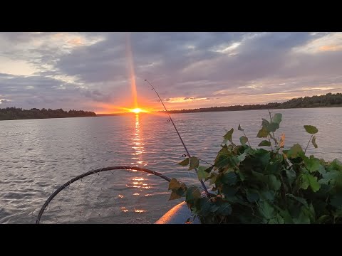 Видео: троллинг