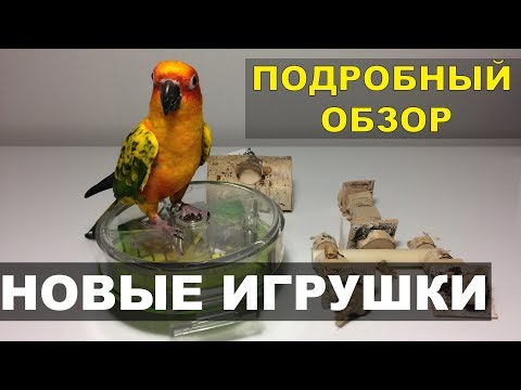 Видео: Новые игрушки для нашего попугая Бруни. Подробный обзор с ценами.