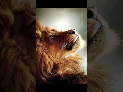 Видео: Вкусный позор - структура чувств (Печальная звезда )