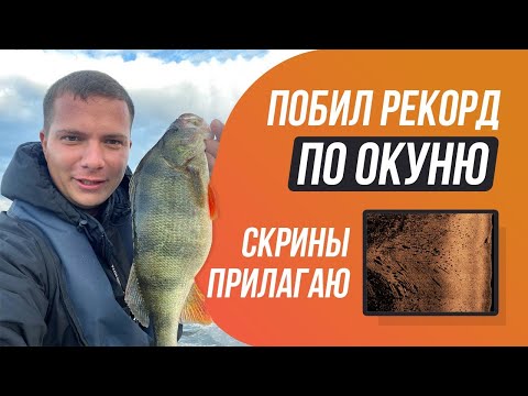 Видео: МЕГА окуни сделали мой приезд в Казань / Смотрим как на эхолоте отображается