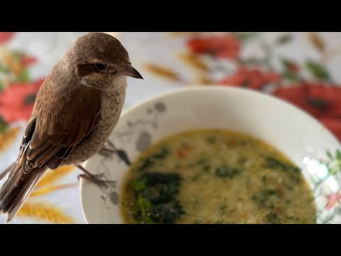 Видео: Country soup with nettles 🥣супа с коприва 🥣şifalı köy çorbası