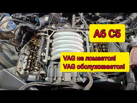 Видео: А6 С5 2,4. Профилактика и ревизия проблемных мест ДВС...