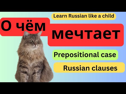Видео: Russian class: Prepositional case Урок русского: Предложный падеж