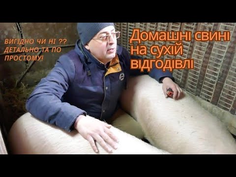 Видео: Домашні свині на сухій відгодівлі! Вигідно чи ні?