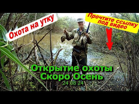 Видео: Открытие охоты Начало Осени 24 08 24