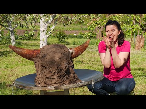 Видео: Готовим в деревне. Невероятное зрелище: голова быка в тандыре. 4K
