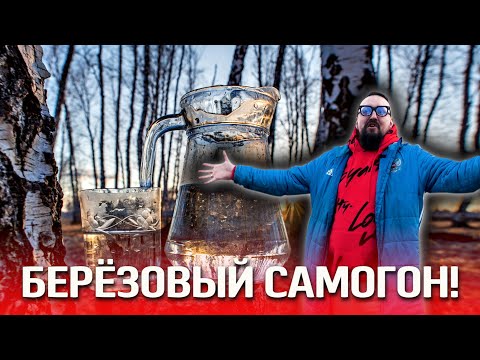 Видео: Ставить ли брагу на березовом соке или разбавить готовый дистиллят? Березовый самогон!