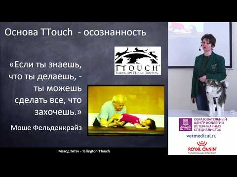 Видео: Куликова В., Юнкина А. С.  -  Метод ТиТач (Tellington TTouch)