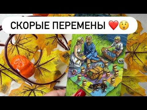 Видео: ❗️СРОЧНЫЕ НОВОСТИ 🔥 СКОРЫЕ ПЕРЕМЕНЫ ❤️ #таро #онлайгадание #онлайнтарогадание #tarot #таролог 
