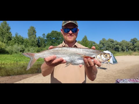 Видео: Птичь , Припять , сплав.