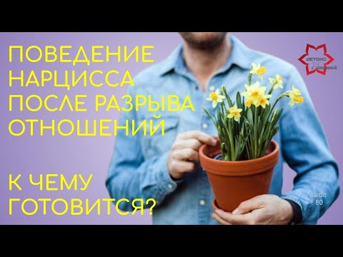 Видео: Как расстаются нарциссы? Что точно будет делать нарцисс после расставания? К чему готовится?