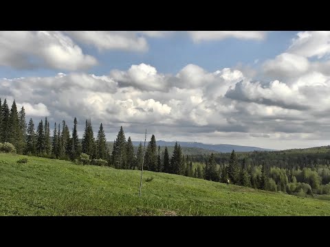 Видео: Удачный поиск старины в красивом месте #318