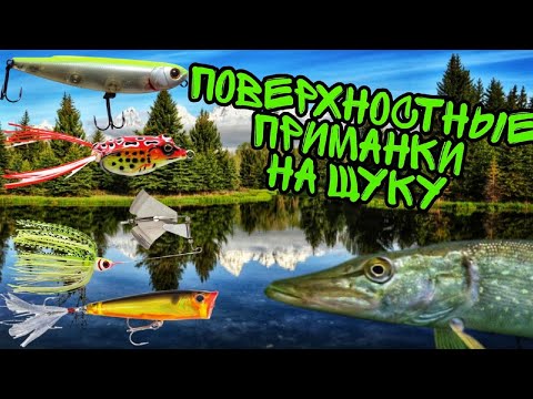 Видео: На что ловить щуку на мелководье? Лучшие приманки-топвотеры