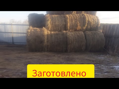 Видео: Жизнь в уральской деревни