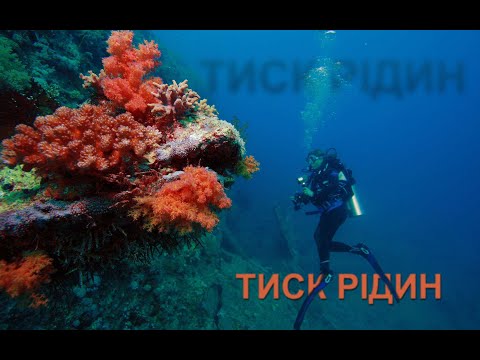 Видео: Тиск рідини. Закон Паскаля