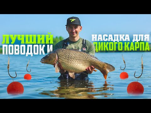 Видео: ВЫКОСИЛ СЕБЕ МЕСТО НА ДИКАРЕ СРЕДИ ЛОТОСОВ И ПОЙМАЛ ОГРОМНЫХ КАРПОВ. ЛОВЛЯ КАРПА НА ДИКАРЕ