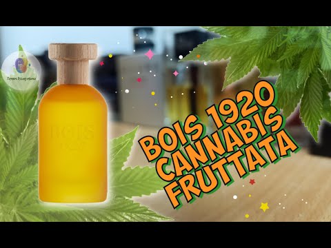 Видео: BOIS 1920 CANNABIS FRUTTATA - знакомство с ароматом, "не нужна мне корона" мои флешбэки из прошлого)