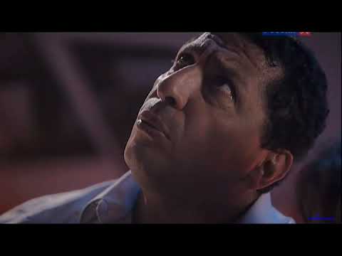 Видео: "Карнавал животных". Фильм-фантазия на музыку Камиля Сен-Санса