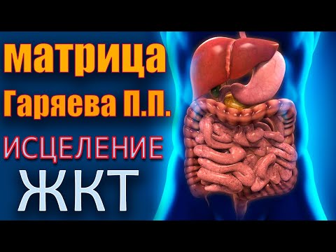 Видео: Матрица Гаряева для исцеления ЖКТ (Желудочно-кишечного тракта) нормализация обмена веществ