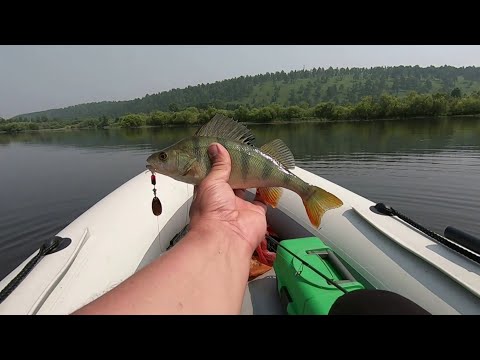 Видео: Рыбалка на окуня. Карьер на реке Олха.