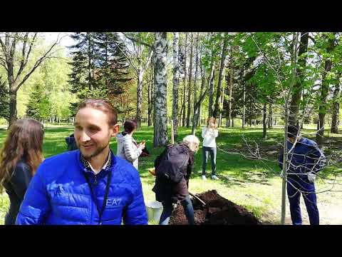 Видео: Шень Чши с Дмитрием Лапшиновым