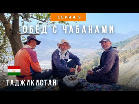Видео: На памирский тракт: трудности в Душанбе, обед с чабанами, День рождение напарника 