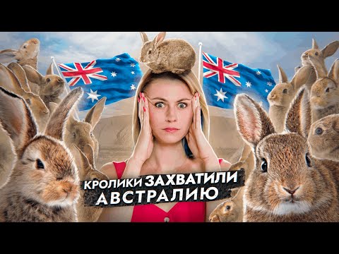 Видео: Кролики захватили АВСТРАЛИЮ!!! | ЕГЭ по Биологии | Ксения Напольская