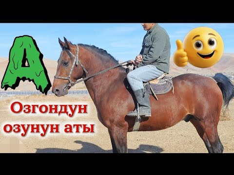 Видео: Озгондон Руслан кулук торуну корсотту